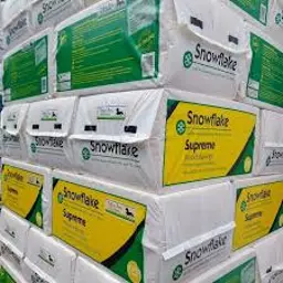 Snowflake Supreme.jpg