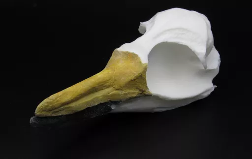 Penguin 2.jpg
