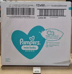 PAMP31-2.jpg?