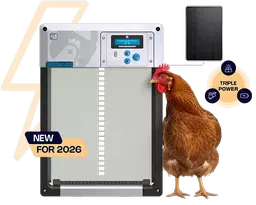 ChickenGuard-all-in-one-solar-autoamtic-chicken-coop-door-grey-new-2026.webp