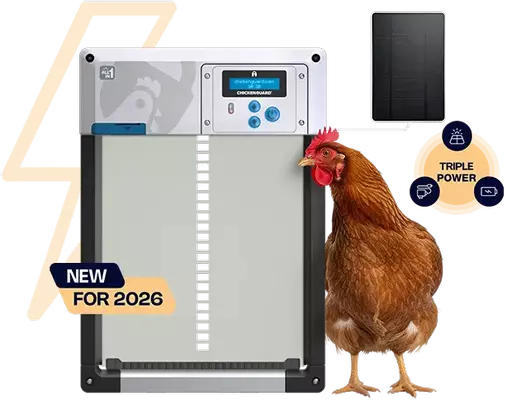 ChickenGuard-all-in-one-solar-autoamtic-chicken-coop-door-grey-new-2026.webp