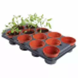 74891-growing-pots-11cm-12-pack-1500x1500.webp