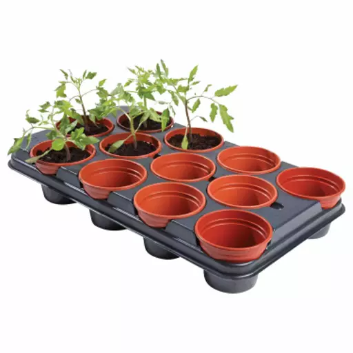 74891-growing-pots-11cm-12-pack-1500x1500.webp