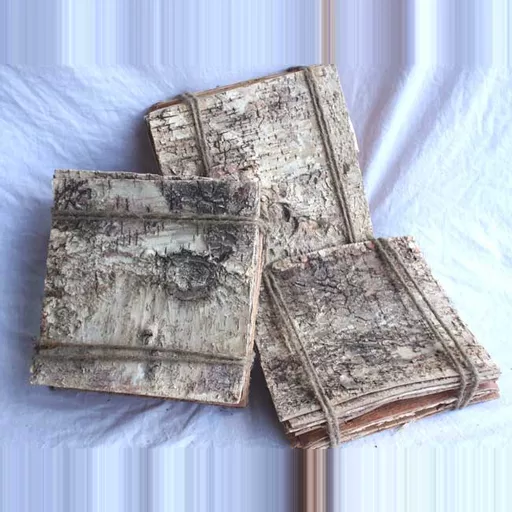 10 x Small Birch Bark