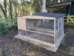 Stretched Penthouse chicken run with two perches