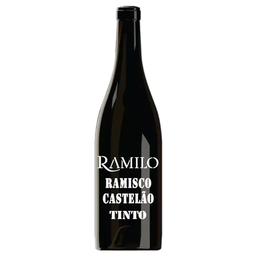 Ramilo Ramisco Castelão