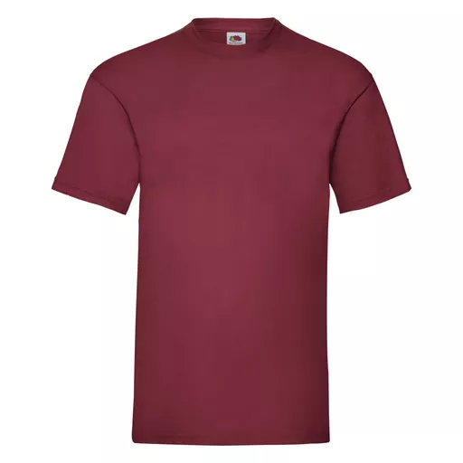 Men's Valueweight T-Shirt