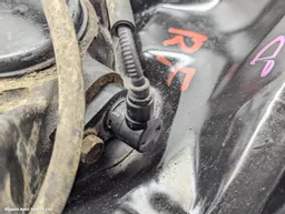 23cb21fc-e893-4abc-b6a4-a37c9302d4e9.jpeg?