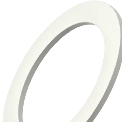 PTFE Sealing Washers