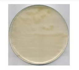 16497499413e7298fff24ca8bc87dbcec81d5188ce.PNG?