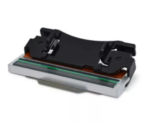 qgFx98Yy1Uiz5jLVoCDHKA.c-r.jpg?