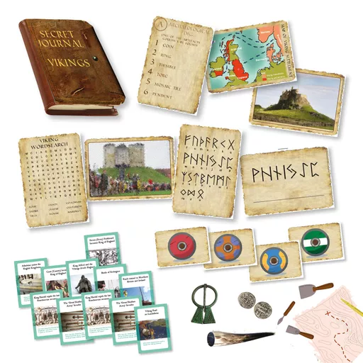 Viking Escape Room cat image (no background).jpg
