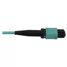 4wqFlAWRk0WzqdDnbTVMdw.c-r.jpg?