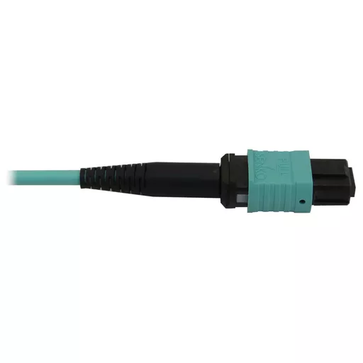 4wqFlAWRk0WzqdDnbTVMdw.c-r.jpg?