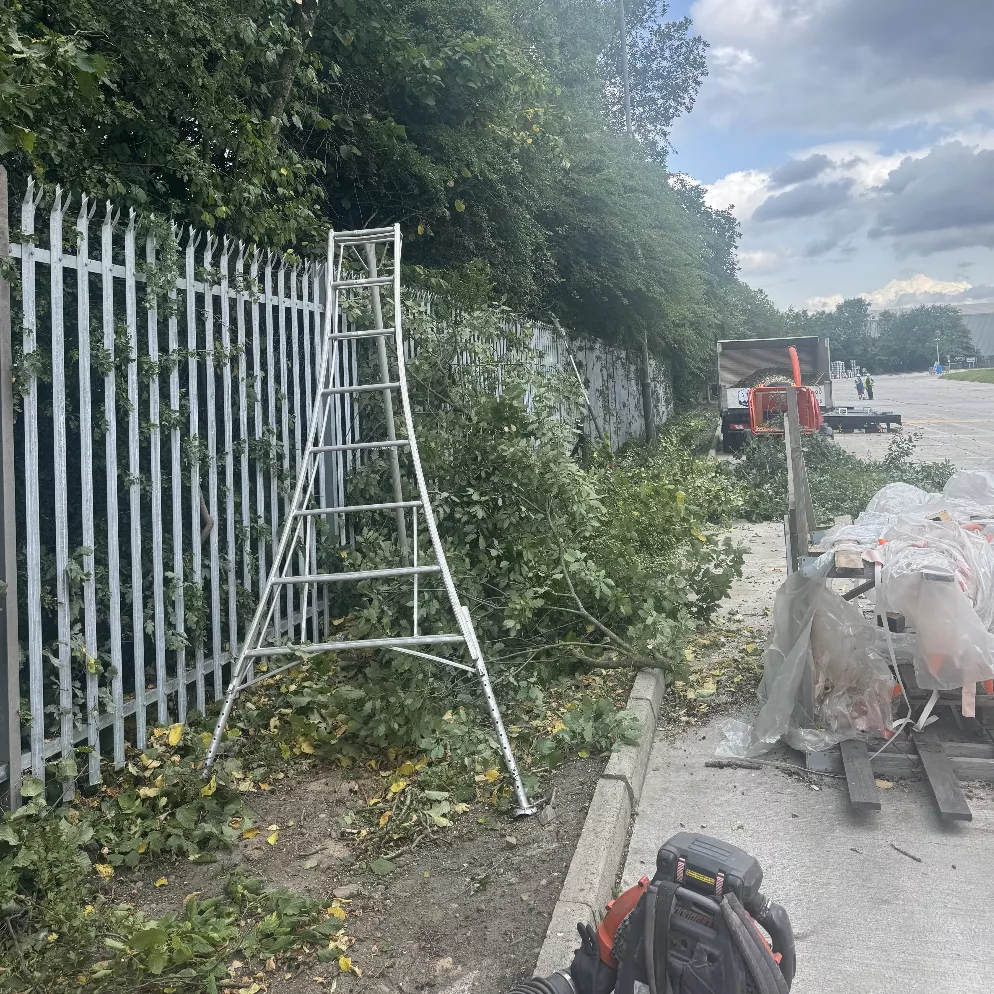 Professional Tree Surgeons in Cheshire | Health & Safety First with JEC Tree Services Ltd