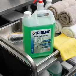 Pine-Disinfectant-5L.jpg