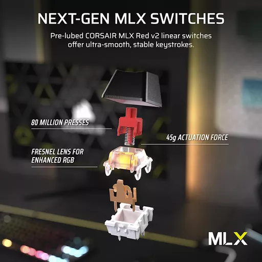 c9yOwtBF0EuT9pXMoMMLBQ.c-r.jpg?