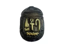 scarab (1).jpg