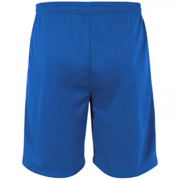 Stanno_ClubProShorts420002-5000_Royal_Back.png