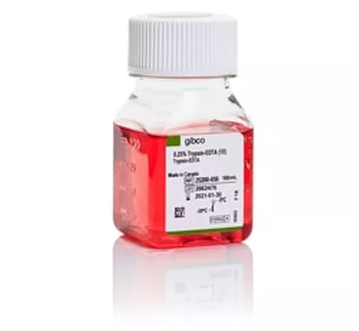 1770207287cd2af702fd8db4c9c13d6466d0bc99b3.png?