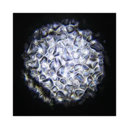 1562861468-26099600.jpg?