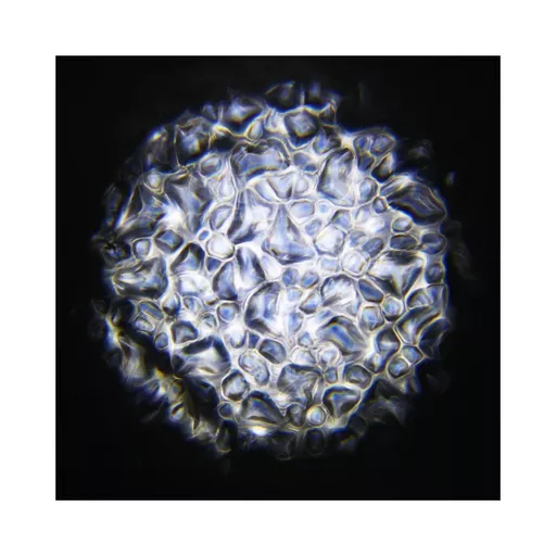 1562861468-26099600.jpg?