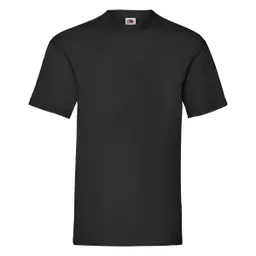 Men's Valueweight T-Shirt