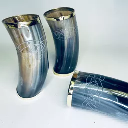 Horn Beaker with Brass ends 2.jpg