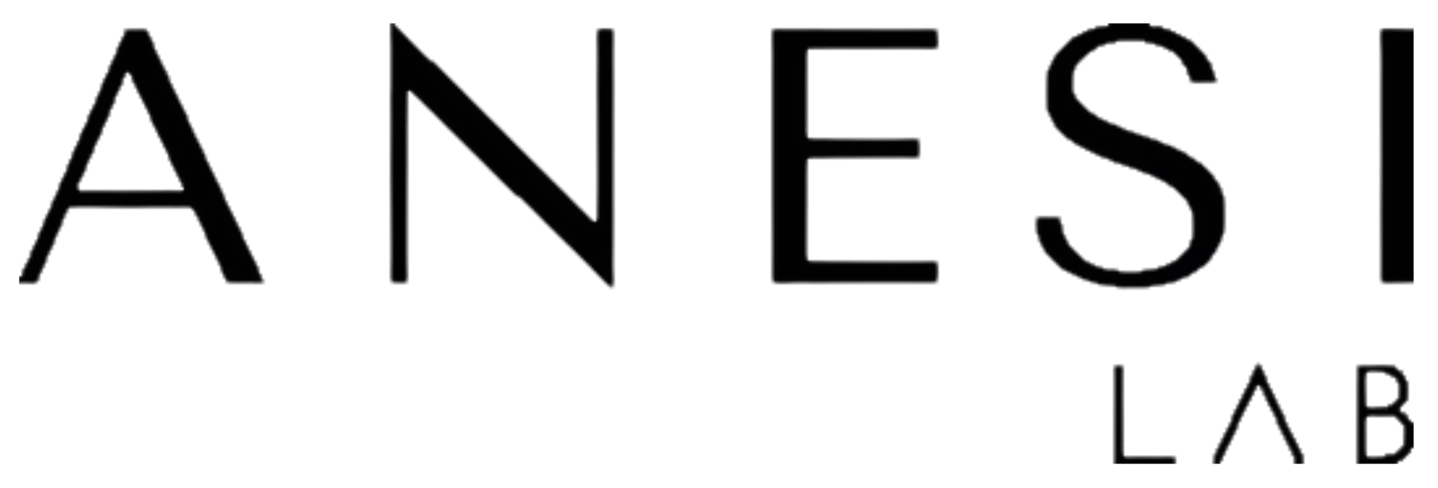 Anesi Lab Logo Black.png