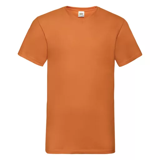 Men's Valueweight V-Neck T-Shirt