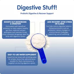 Probiotic Chicken Recovery Supplement Aviform explanation