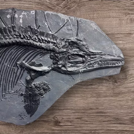 Big Fossil Cast 1.jpg