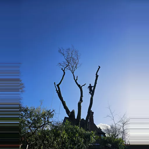 1000002320.jpg