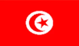 https://starbek-static.myshopblocks.com/images/tmp/fg_235_tunisia.gif