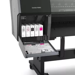 ZPuLe9MU5EC1pU3a8LNqfA.c-r.jpg?