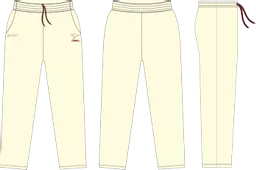 cricket pant...png