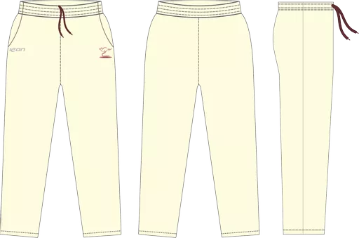 cricket pant...png