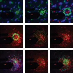 1699452351-62204100.jpg?