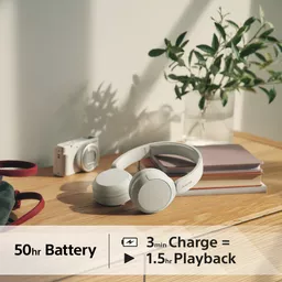 16876010 (Copy).png