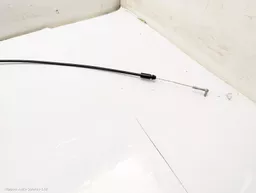 c346b479-af1a-4b5e-bdab-c7e722e48aa6.jpeg?