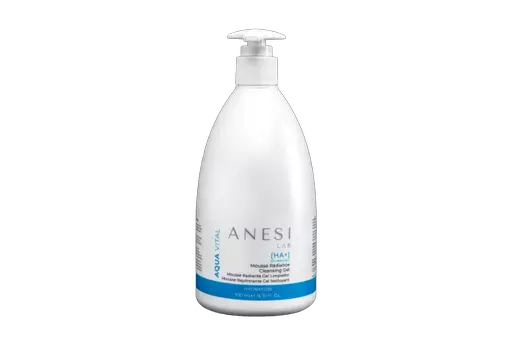 Anesi Lab Aqua Vital Professional Product Mousse Radiance Cleansing Gel Bottle 500ml.png