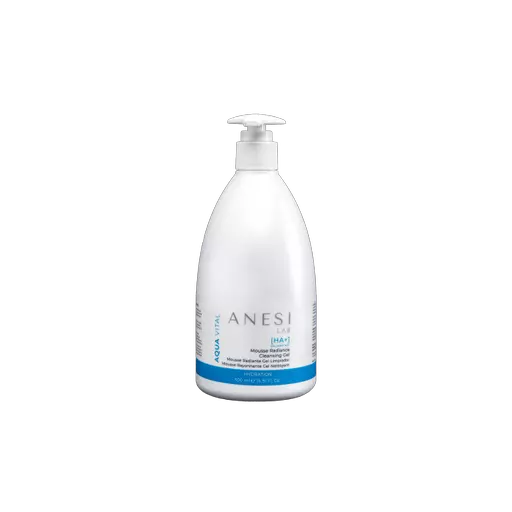 Anesi Lab Aqua Vital Radiance Mousse Cleansing Gel 500ml