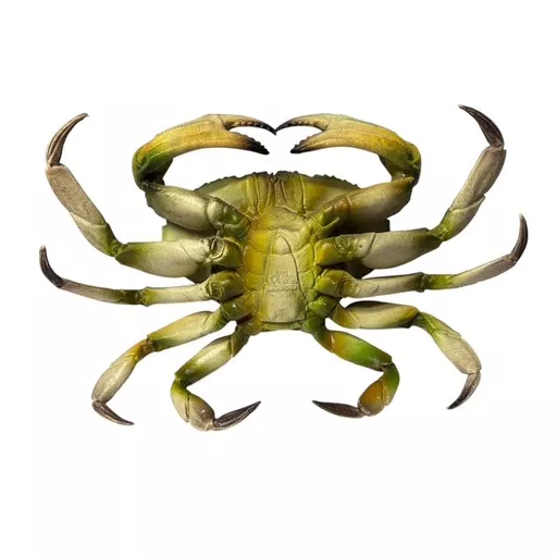 Plastic Crab 3.jpg