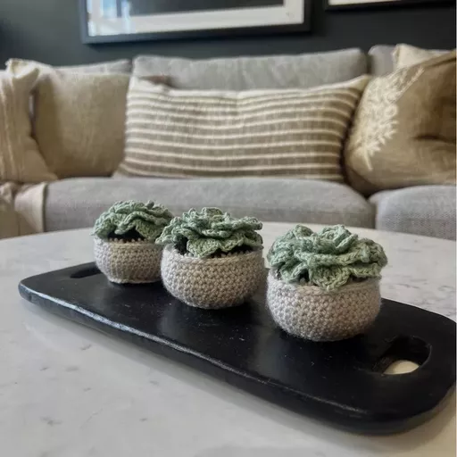 Crochet Succulent Plant