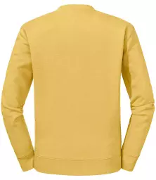 262M%20MUS%20BACK.jpg?