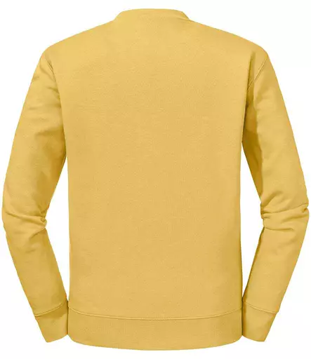 262M%20MUS%20BACK.jpg?