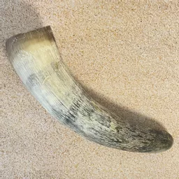 Natural Cow Horn.jpg
