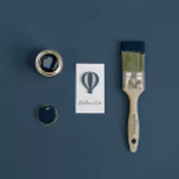 balloon ride samples.webp