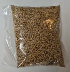 barley-seeds-scaled.jpg