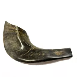 shofar.jpg